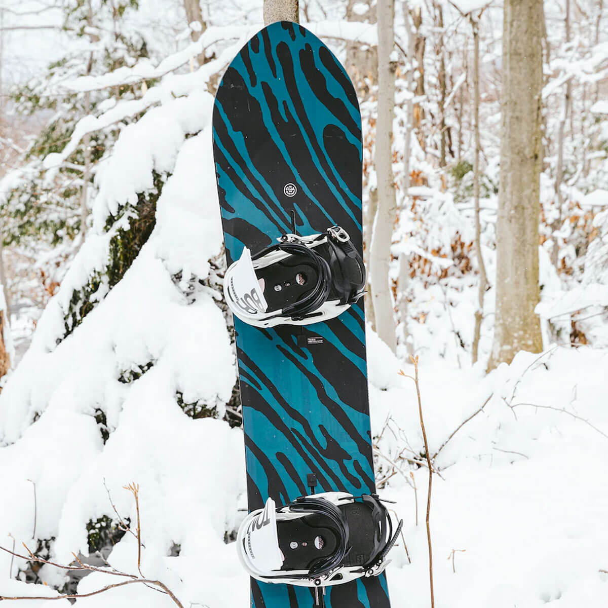 BURTON FISH 3D 156 | Obsession Shop