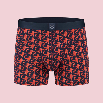 ADAM MONKEY FRIEND BOXER BRIEFS ASSORTED XL