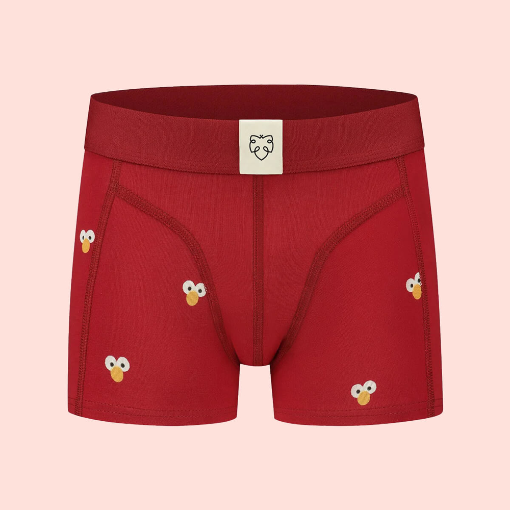 ADAM GOOGLY ELMO BOXER BRIEFS ASSORTED 9/10