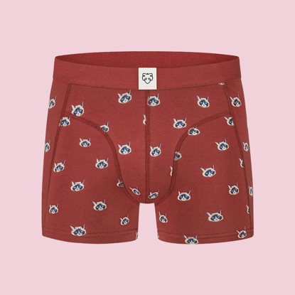 ADAM STONE RED CATFACE BOXER BRIEFS ASSORTED M
