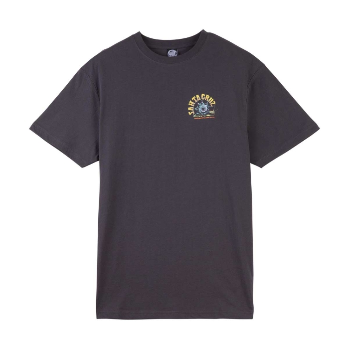 SANTA CRUZ STAR SNAIL T-SHIRT BLACK WASH 8